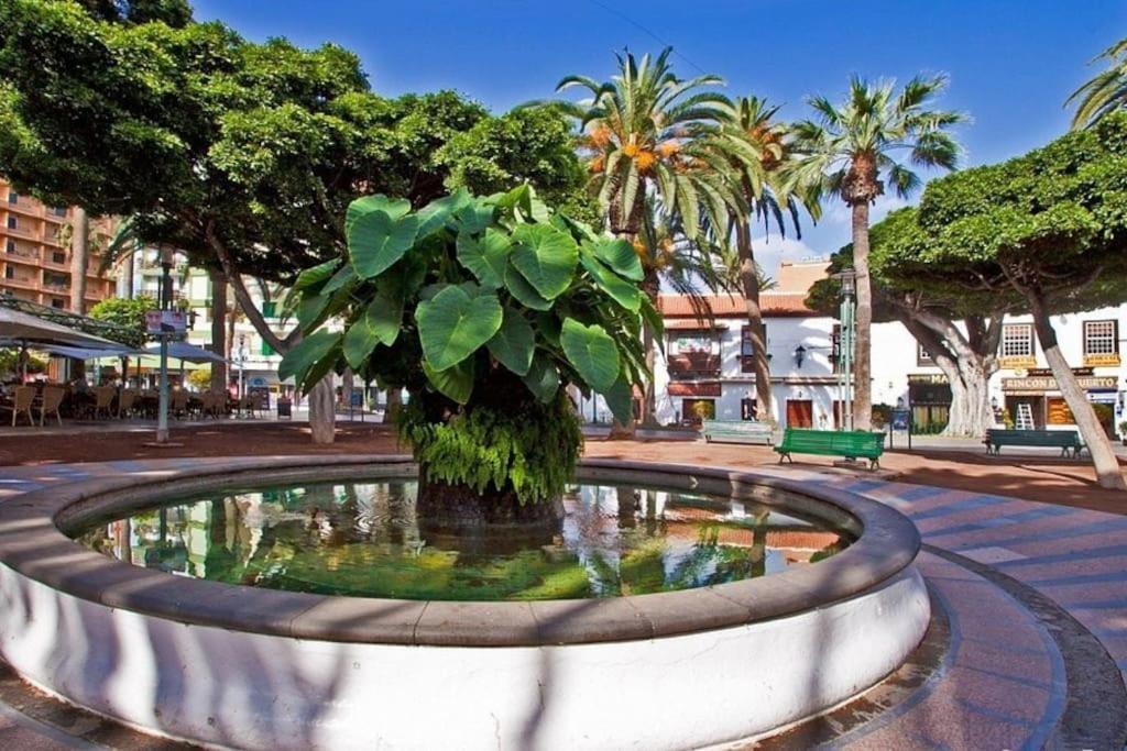 Centrico, Comodo Y Bello Apto En Puerto De La Cruz Exterior photo
